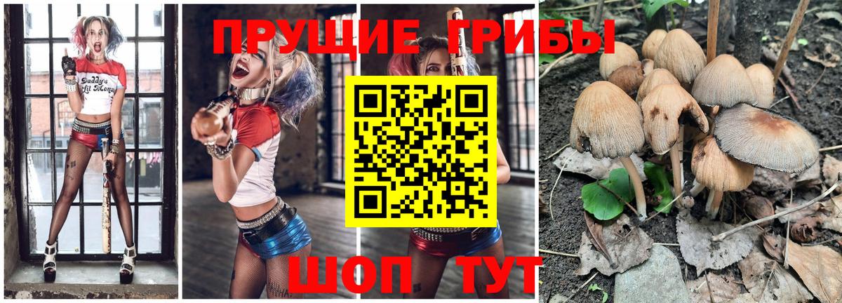 Галлюциногенные грибы GOLDEN TEACHER Карталы