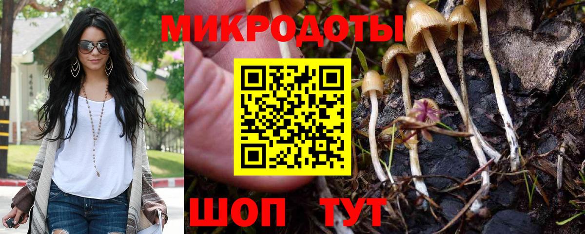 Карталы  Псилоцибиновые грибы прущие грибы  Вход с VPN 
